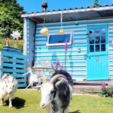 Treguth Glamping Unique Experience - Themed Huts Hotel Saint Day Exterior photo