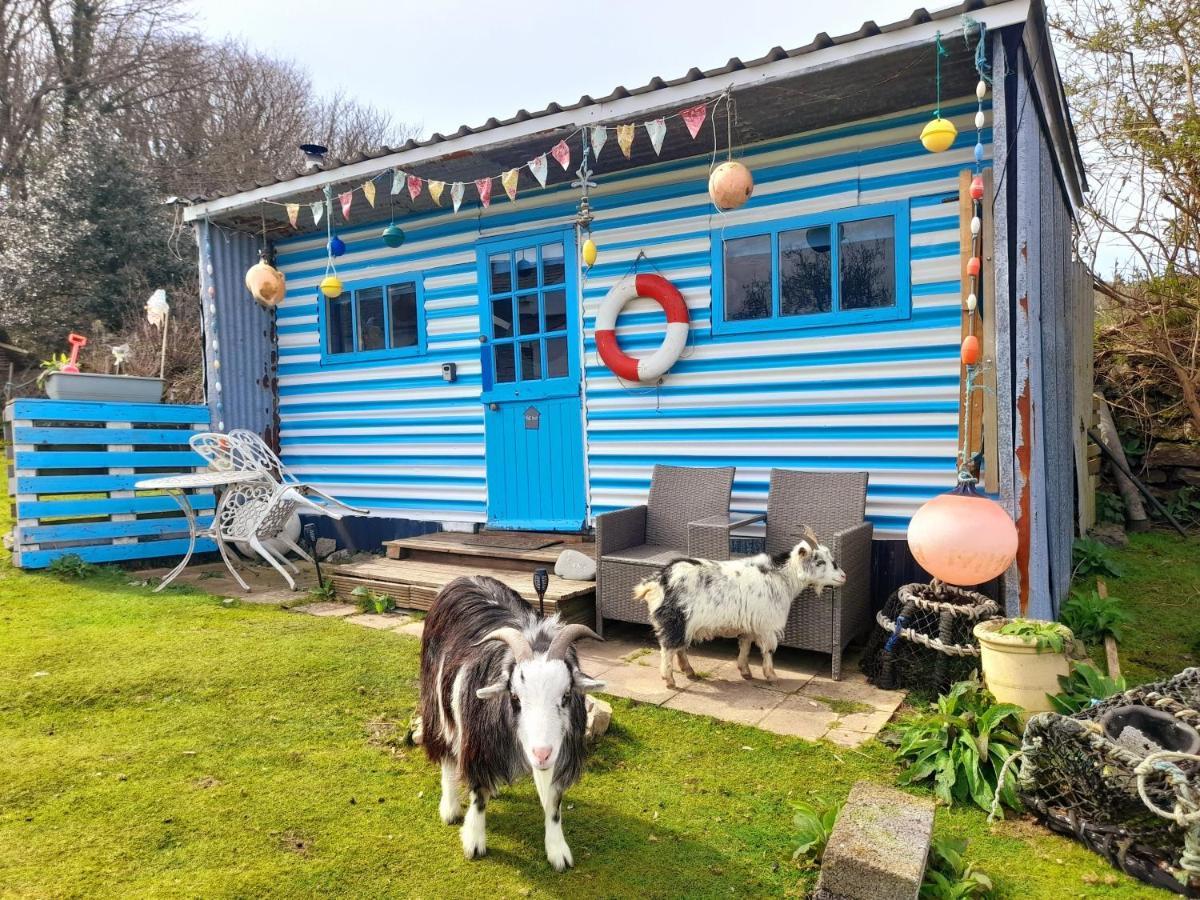 Treguth Glamping Unique Experience - Themed Huts Hotel Saint Day Exterior photo