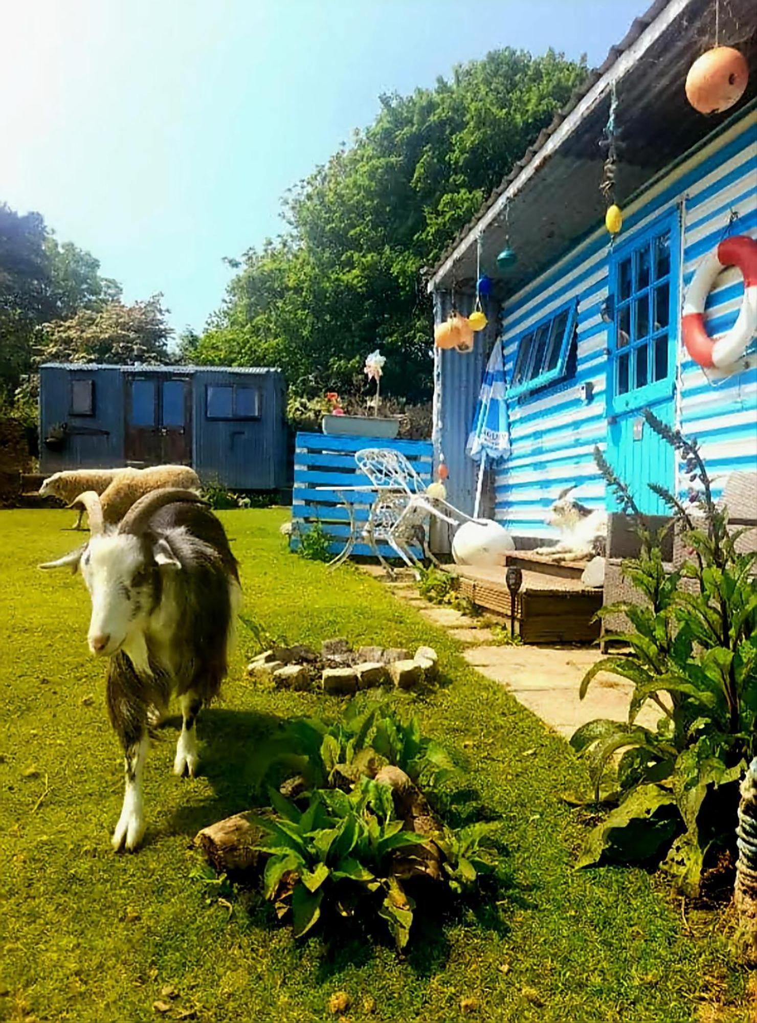 Treguth Glamping Unique Experience - Themed Huts Hotel Saint Day Exterior photo
